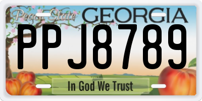 GA license plate PPJ8789