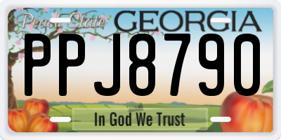 GA license plate PPJ8790