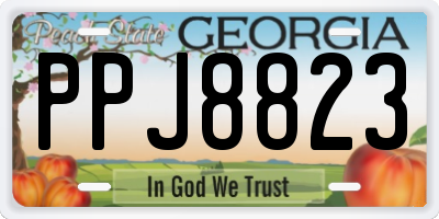 GA license plate PPJ8823