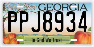 GA license plate PPJ8934