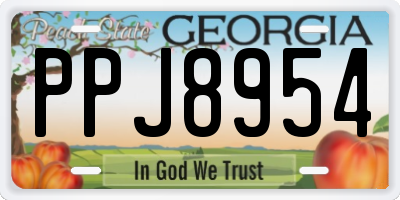 GA license plate PPJ8954