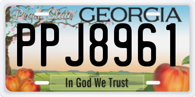 GA license plate PPJ8961