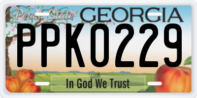 GA license plate PPK0229
