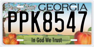 GA license plate PPK8547
