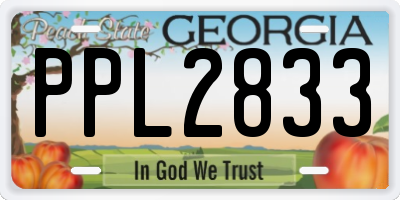 GA license plate PPL2833