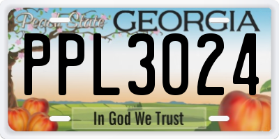 GA license plate PPL3024