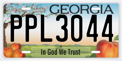 GA license plate PPL3044