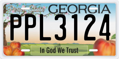GA license plate PPL3124