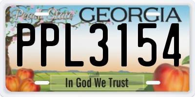 GA license plate PPL3154