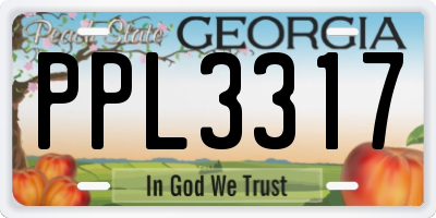 GA license plate PPL3317