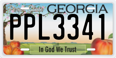 GA license plate PPL3341