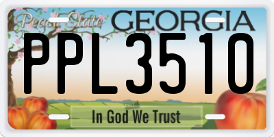 GA license plate PPL3510