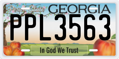GA license plate PPL3563