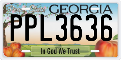 GA license plate PPL3636