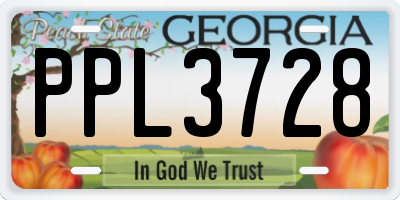 GA license plate PPL3728