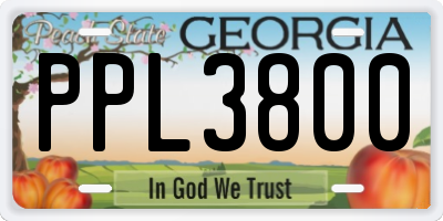 GA license plate PPL3800