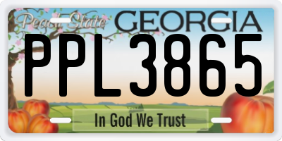 GA license plate PPL3865