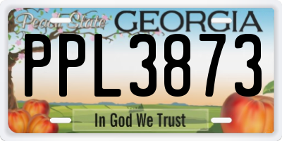 GA license plate PPL3873