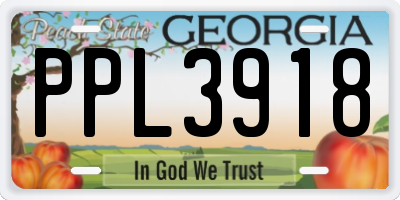 GA license plate PPL3918