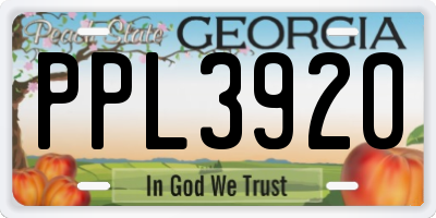 GA license plate PPL3920