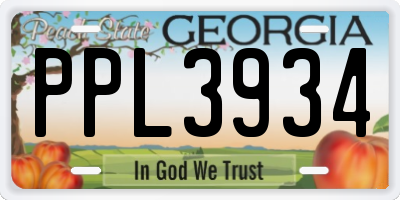 GA license plate PPL3934