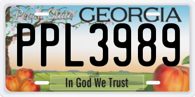 GA license plate PPL3989