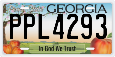 GA license plate PPL4293