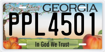 GA license plate PPL4501