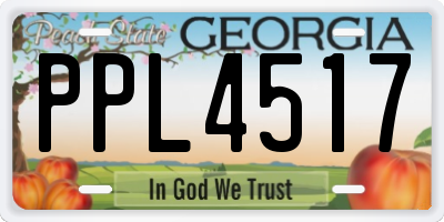 GA license plate PPL4517