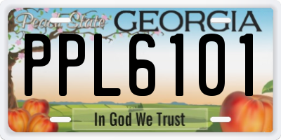 GA license plate PPL6101
