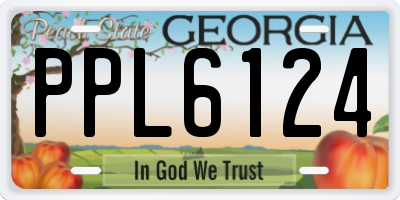 GA license plate PPL6124