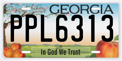 GA license plate PPL6313