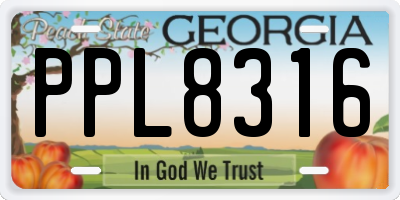 GA license plate PPL8316