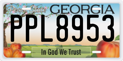 GA license plate PPL8953