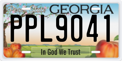 GA license plate PPL9041