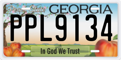 GA license plate PPL9134