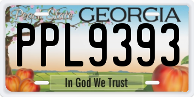 GA license plate PPL9393