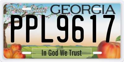 GA license plate PPL9617