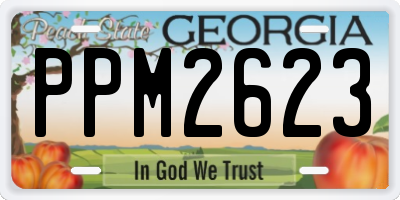 GA license plate PPM2623