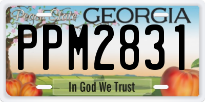GA license plate PPM2831