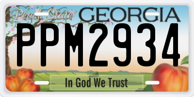 GA license plate PPM2934