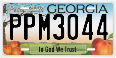 GA license plate PPM3044