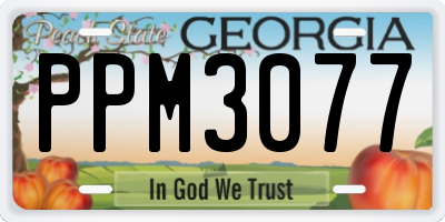 GA license plate PPM3077
