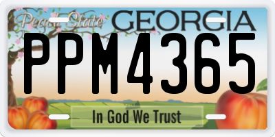 GA license plate PPM4365
