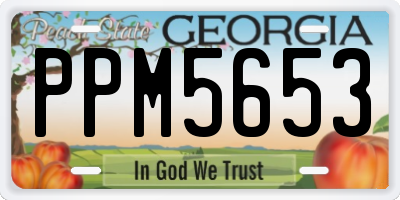 GA license plate PPM5653