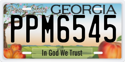 GA license plate PPM6545