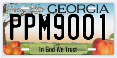 GA license plate PPM9001