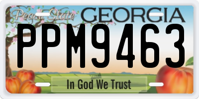 GA license plate PPM9463