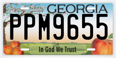 GA license plate PPM9655