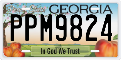 GA license plate PPM9824